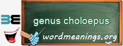 WordMeaning blackboard for genus choloepus